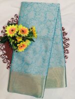 Nita Ambani Mam Saree